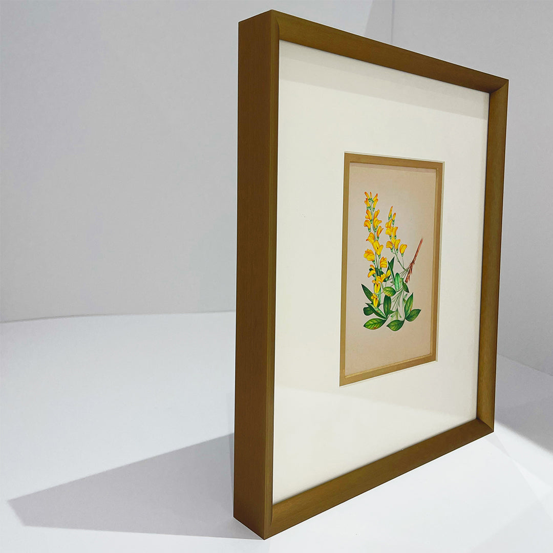 Scotch Broom Metal Framed Floral Artwork Painting