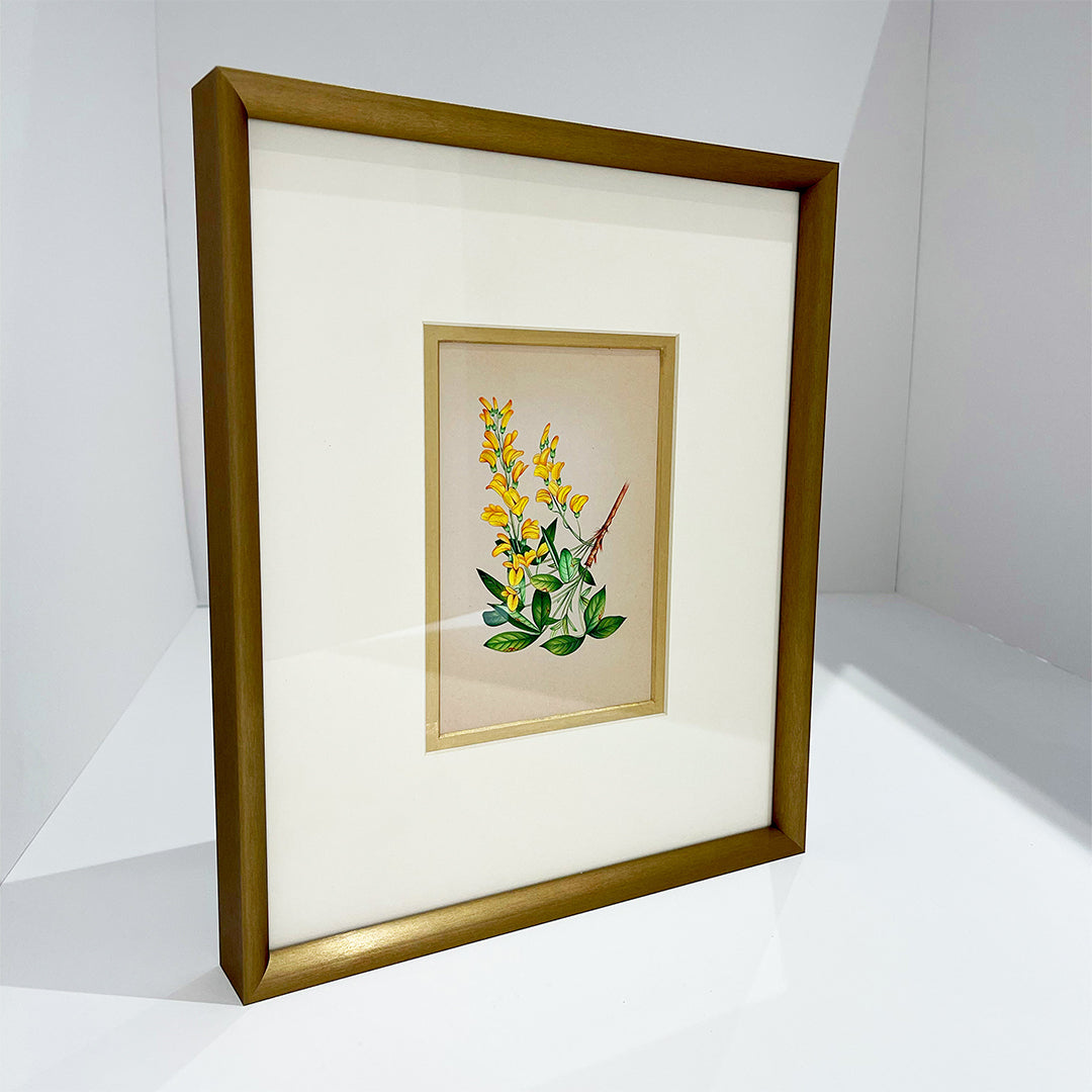 Scotch Broom Metal Framed Floral Artwork Painting