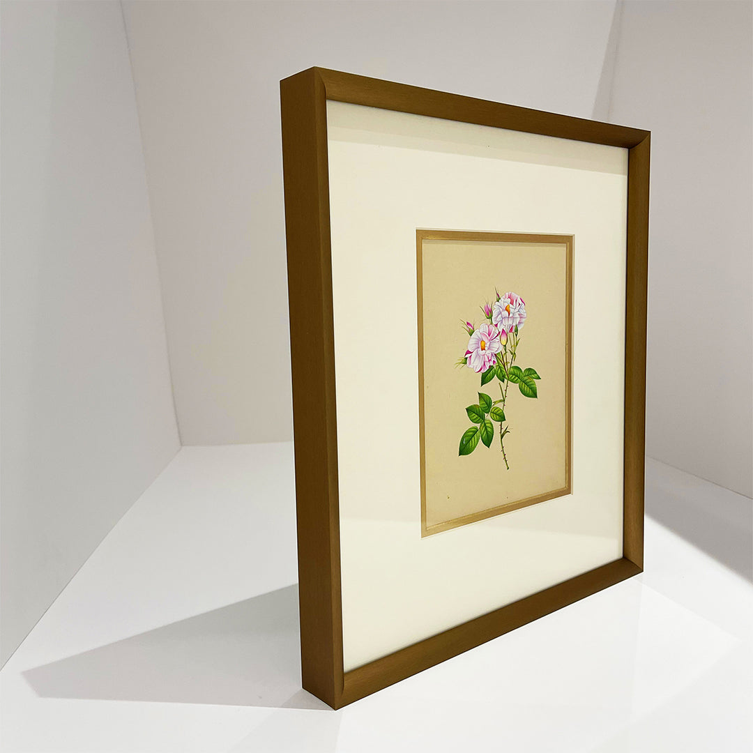 Rosa Gallica Framed Floral Artwork Painting