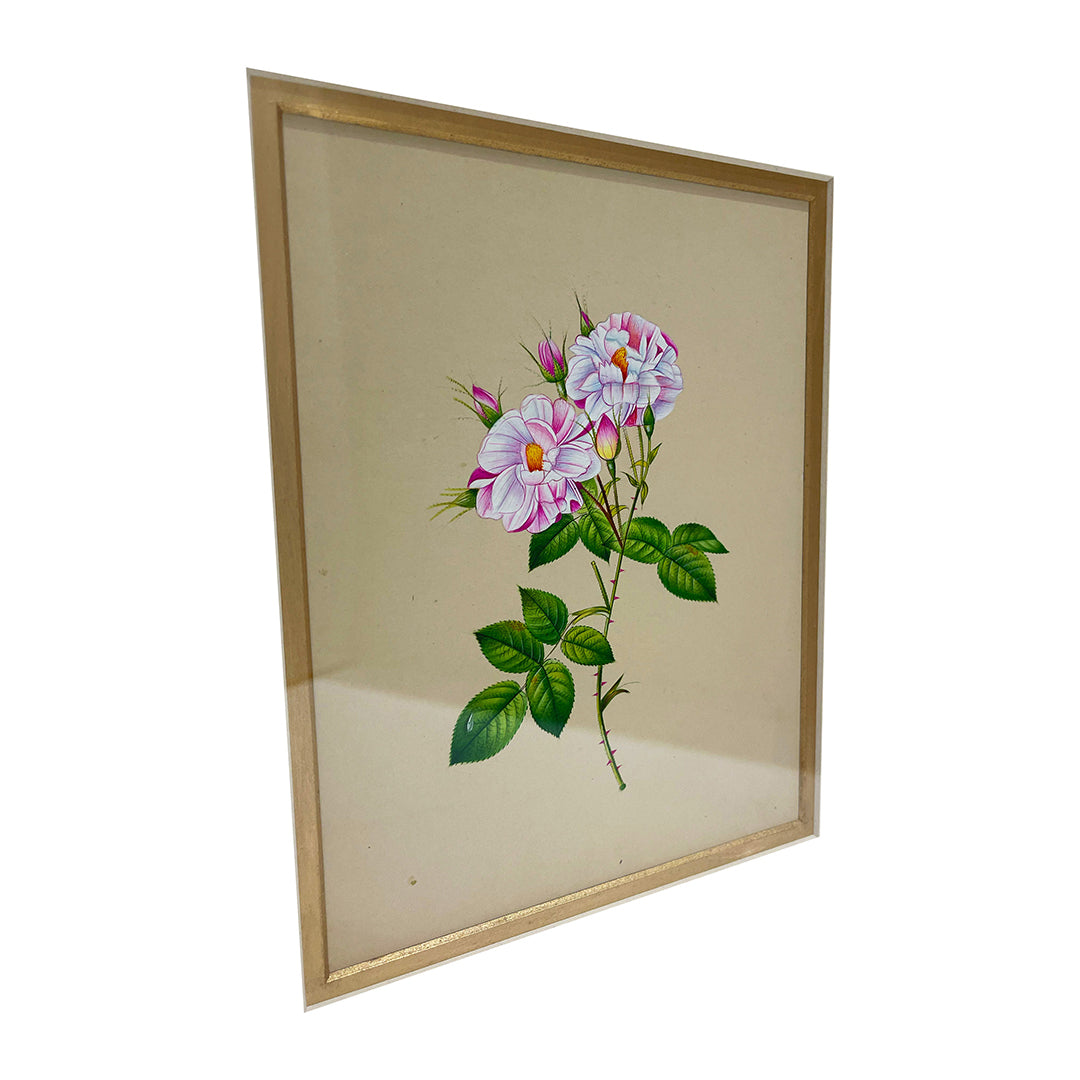 Rosa Gallica Framed Floral Artwork Painting