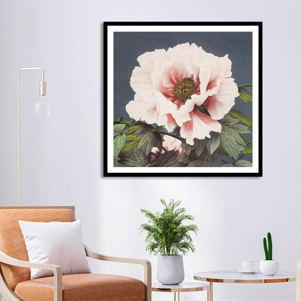 Tree Peony Flower Painting by Ogawa Kazumasa