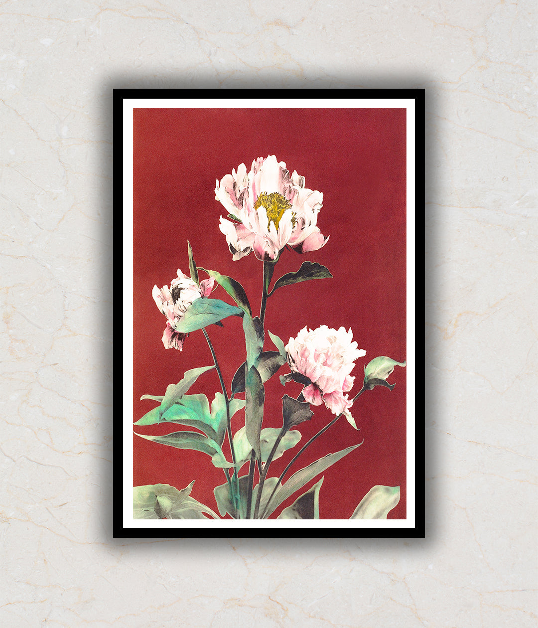 Herbaceous Peony Floral Painting by Ogawa Kazumasa