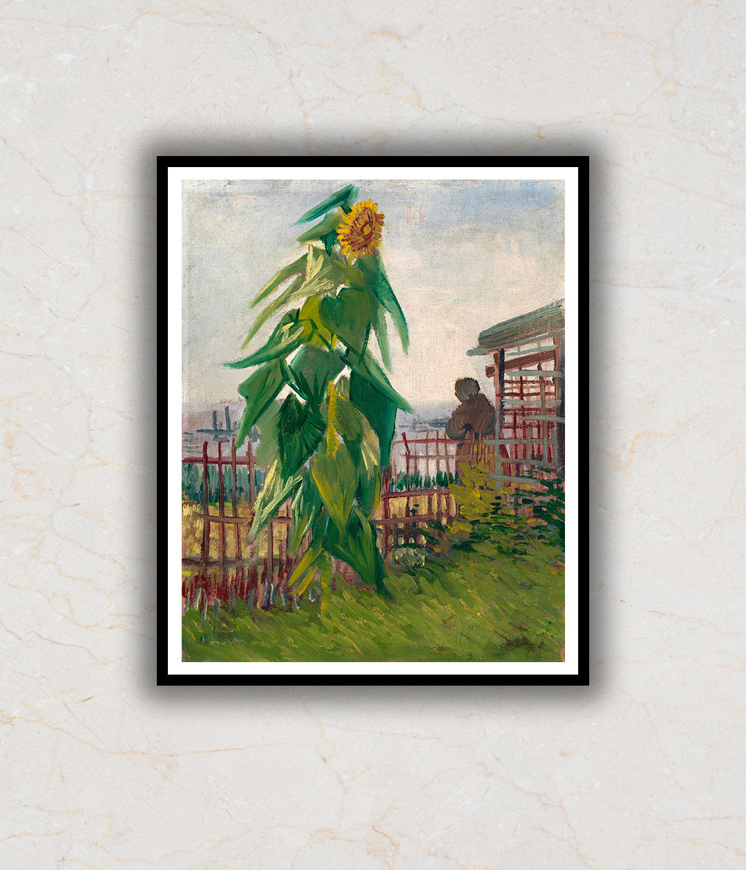 Allotment with Sunflower (1887) Artwork Painting For Home Wall Art DŽcor By Vincent Van Gogh