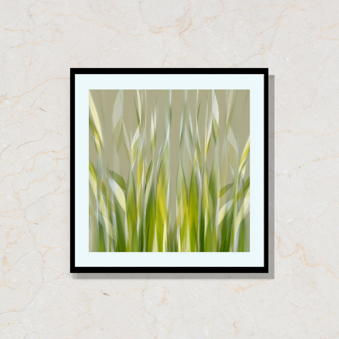 Ribbons of Grass Artwork Painting By Nel Telson