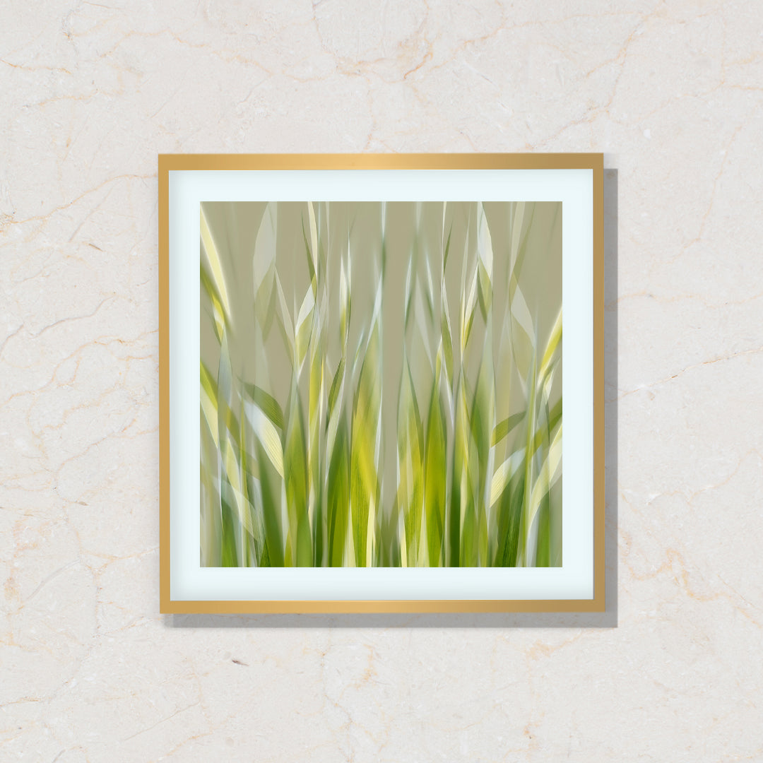 Ribbons of Grass Artwork Painting By Nel Telson